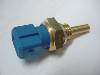 Thermo sensor