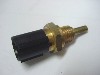 Thermo sensor